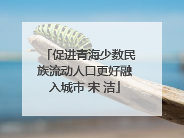 促进青海少数民族流动人口更好融入城市 宋 洁