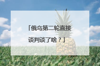 俄乌第二轮直接谈判谈了啥？