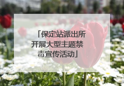 保定站派出所开展大型主题禁毒宣传活动