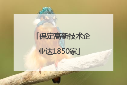 保定高新技术企业达1850家