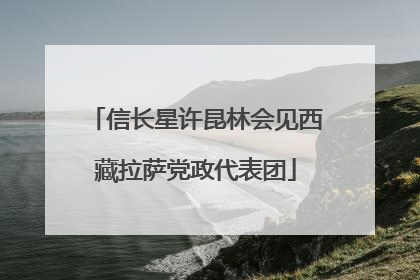 信长星许昆林会见西藏拉萨党政代表团