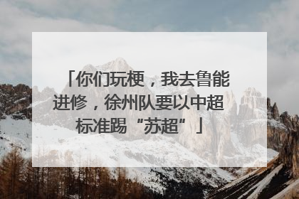 你们玩梗，我去鲁能进修，徐州队要以中超标准踢“苏超”
