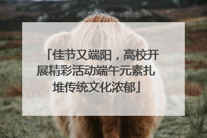 佳节又端阳，高校开展精彩活动端午元素扎堆传统文化浓郁