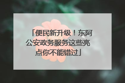 便民新升级！东阿公安政务服务这些亮点你不能错过