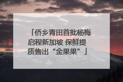 侨乡青田首批杨梅启程新加坡 保鲜提质售出“金果果”