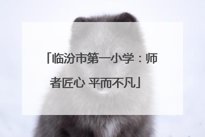 临汾市第一小学：师者匠心 平而不凡