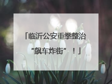 临沂公安重拳整治“飙车炸街”！