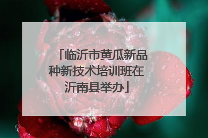 临沂市黄瓜新品种新技术培训班在沂南县举办
