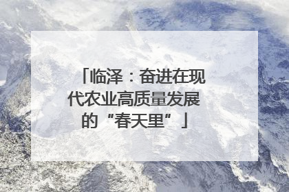 临泽：奋进在现代农业高质量发展的“春天里”