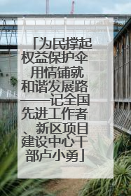 为民撑起权益保护伞 用情铺就和谐发展路——记全国先进工作者、新区项目建设中心干部卢小勇