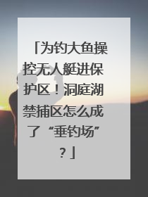 为钓大鱼操控无人艇进保护区！洞庭湖禁捕区怎么成了“垂钓场”？
