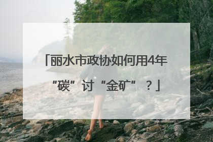 丽水市政协如何用4年“碳”讨“金矿”？