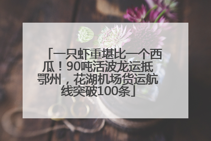 一只虾重堪比一个西瓜！90吨活波龙运抵鄂州，花湖机场货运航线突破100条