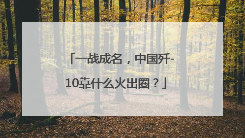 一战成名，中国歼-10靠什么火出圈？