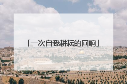 一次自我耕耘的回响