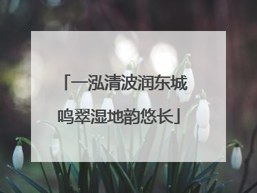 一泓清波润东城 鸣翠湿地韵悠长
