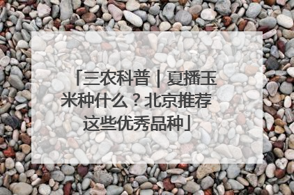 三农科普｜夏播玉米种什么？北京推荐这些优秀品种