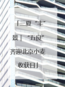 三夏“丰”景｜“五良”齐迎北京小麦收获日