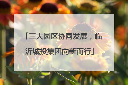 三大园区协同发展，临沂城投集团向新而行