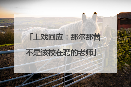 上戏回应：那尔那茜不是该校在聘的老师