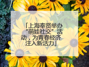 上海奉贤举办“萌娃社交”活动，为青春经济注入新活力