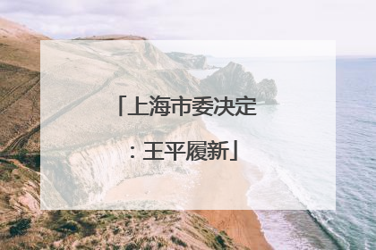 上海市委决定：王平履新