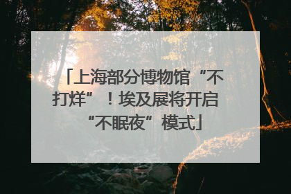 上海部分博物馆“不打烊”！埃及展将开启“不眠夜”模式