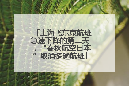 上海飞东京航班急速下降的第二天，“春秋航空日本”取消多趟航班