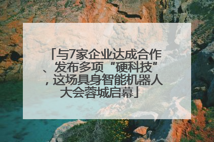 与7家企业达成合作、发布多项“硬科技”，这场具身智能机器人大会蓉城启幕
