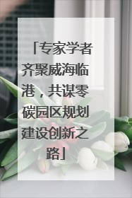 专家学者齐聚威海临港，共谋零碳园区规划建设创新之路
