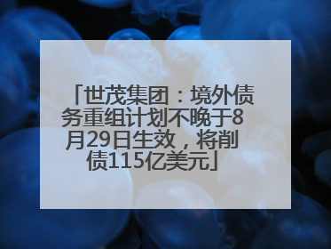 世茂集团：境外债务重组计划不晚于8月29日生效，将削债115亿美元
