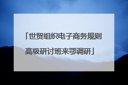 世贸组织电子商务规则高级研讨班来鄂调研