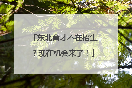 东北育才不在招生？现在机会来了！