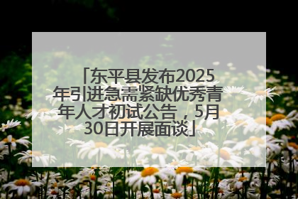 东平县发布2025年引进急需紧缺优秀青年人才初试公告，5月30日开展面谈