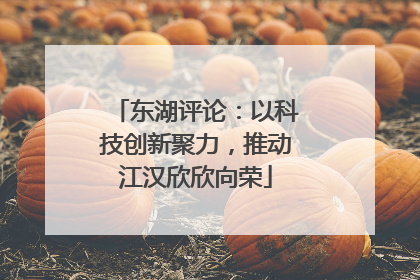东湖评论：以科技创新聚力，推动江汉欣欣向荣