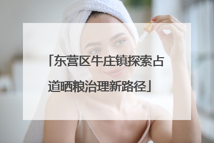 东营区牛庄镇探索占道晒粮治理新路径