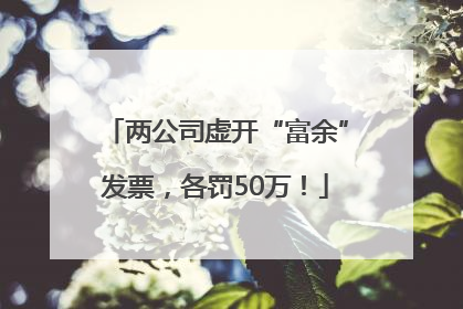 两公司虚开“富余”发票，各罚50万！