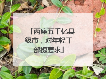 两座五千亿县级市，对年轻干部提要求
