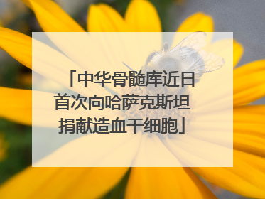 中华骨髓库近日首次向哈萨克斯坦捐献造血干细胞
