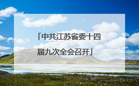 中共江苏省委十四届九次全会召开