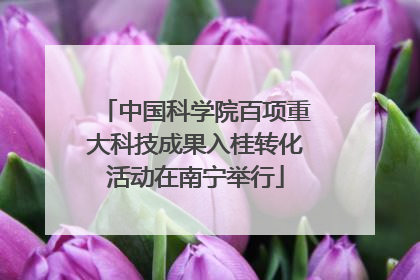 中国科学院百项重大科技成果入桂转化活动在南宁举行