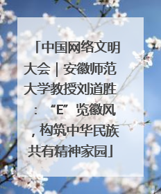 中国网络文明大会｜安徽师范大学教授刘道胜：“E”览徽风，构筑中华民族共有精神家园