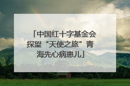 中国红十字基金会探望“天使之旅”青海先心病患儿