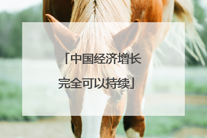 中国经济增长完全可以持续