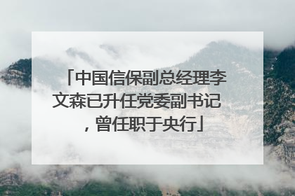 中国信保副总经理李文森已升任党委副书记，曾任职于央行