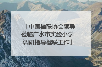 中国楹联协会领导莅临广水市实验小学调研指导楹联工作