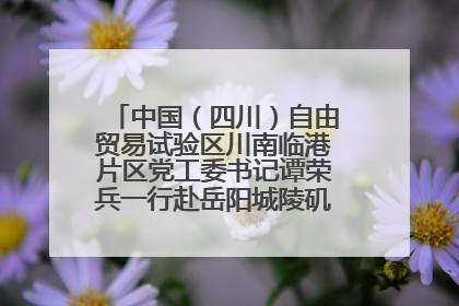 中国（四川）自由贸易试验区川南临港片区党工委书记谭荣兵一行赴岳阳城陵矶综保区考察