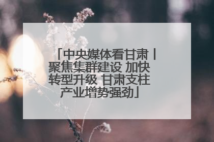 中央媒体看甘肃丨聚焦集群建设 加快转型升级 甘肃支柱产业增势强劲