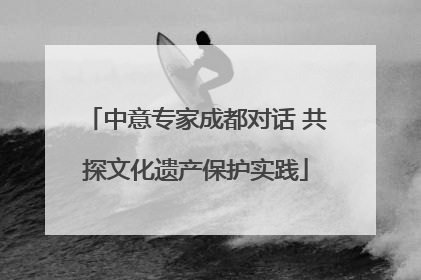 中意专家成都对话 共探文化遗产保护实践