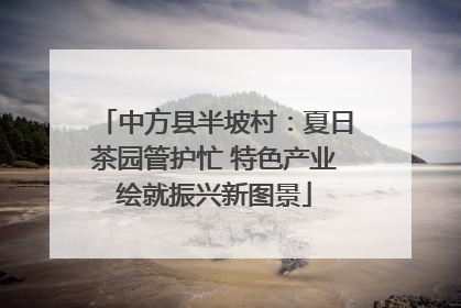 中方县半坡村：夏日茶园管护忙 特色产业绘就振兴新图景